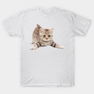 Nice cat kitten T-Shirt